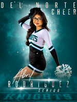 Del Norte Cheer Seniors (Unedited)