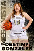 Mesa Vista Lady Trojans Basketball