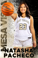 Mesa Vista Lady Trojans Basketball