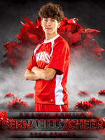 Dream Team Baseball Main Template