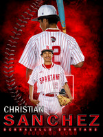 Baseball Banner